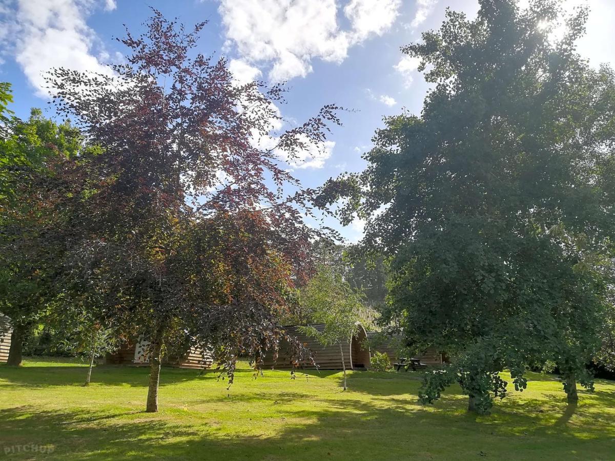 Caplor Glamping&Lodges Hereford Exterior foto